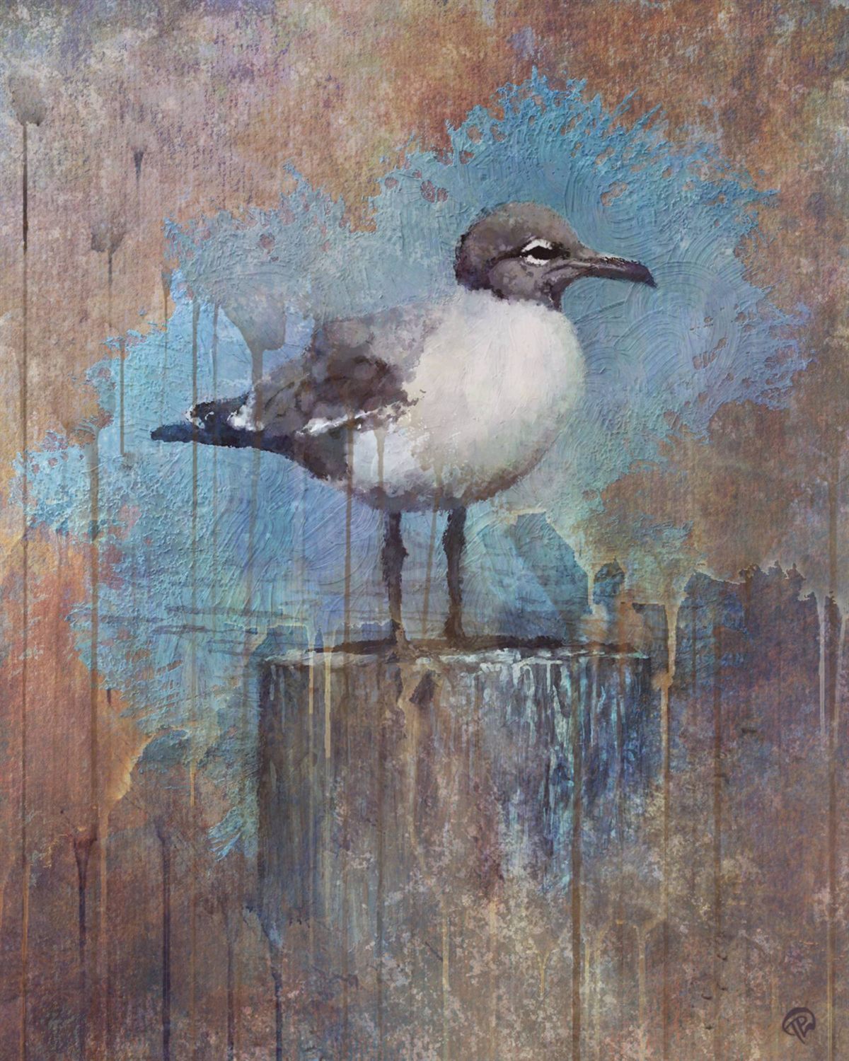 Laughing gull standing on a weathered wooden post, framed by a splash of sky blue over a textured rust background